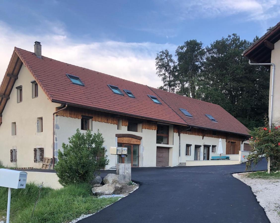 T4 Meuble De 105M2 Axe Annecy-Geneve Daire Saint-Martin-Bellevue Dış mekan fotoğraf